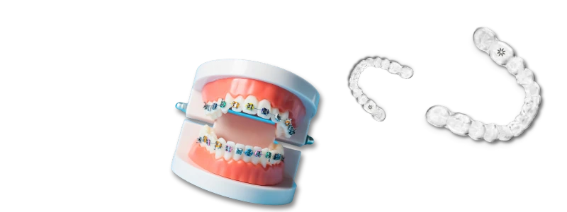 Orthodontic Financial Information Financial Information